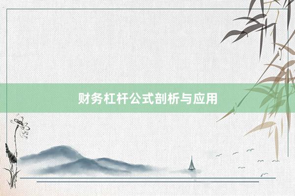 财务杠杆公式剖析与应用